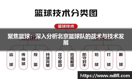聚焦篮球：深入分析北京篮球队的战术与技术发展